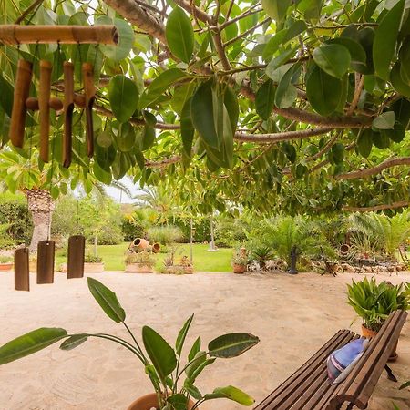 Villa Dolce Vita Portocolom  Buitenkant foto