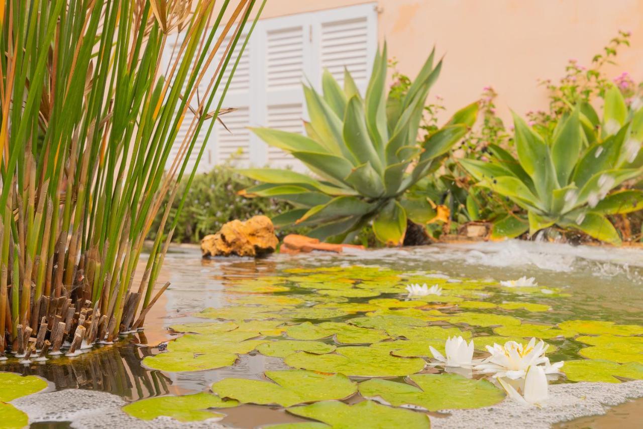 Villa Dolce Vita Portocolom  Buitenkant foto